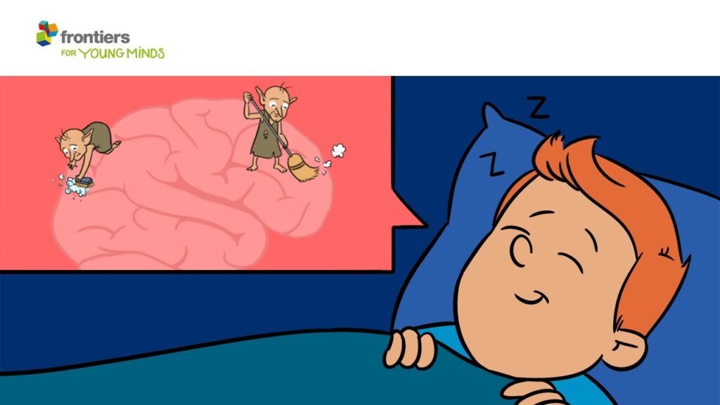 It Rehearses Skills in Your Sleep